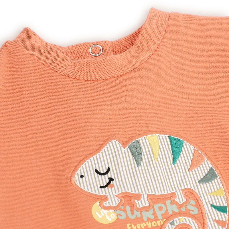 Boys Medium Orange Applique Short Sleeve T-Shirt image number 2